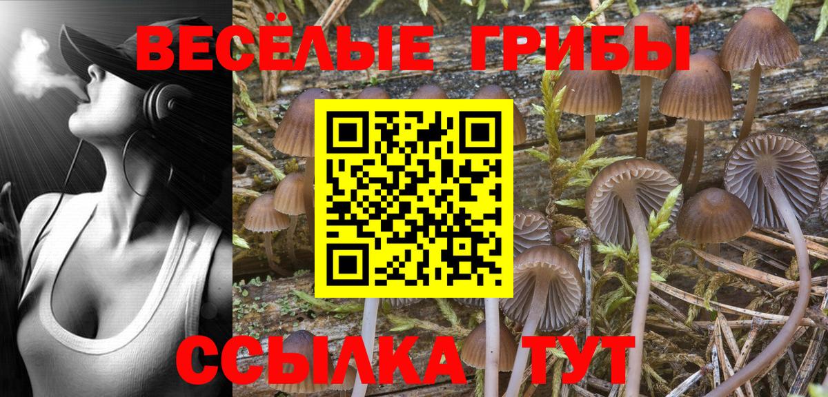 Купить наркотик  Котлас  Вход с VPN  Каннабис  Меф   МЕФ 