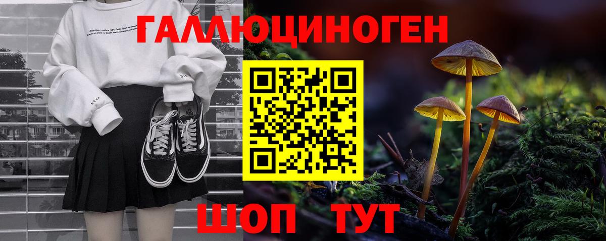 Псилоцибиновые грибы мицелий  Вход с VPN  Котлас 