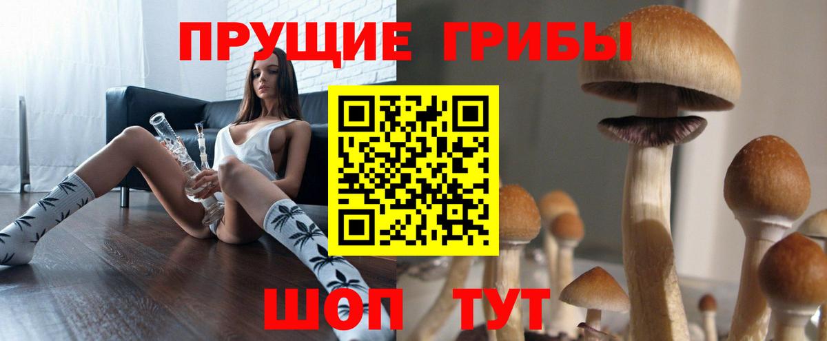 Галлюциногенные грибы Magic Shrooms Котлас